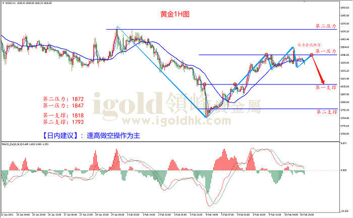 2021年2月11日黄金走势图 2021年2月11日黄金走势图