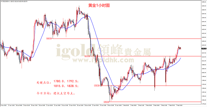 2022年2月8日黄金走势图 2022年2月8日黄金走势图