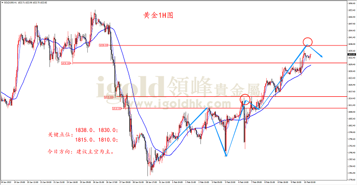 2022年2月10日黄金走势图 2022年2月10日黄金走势图