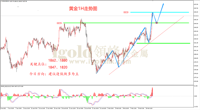 2022年2月14日黄金走势图 2022年2月14日黄金走势图