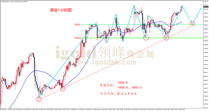 2022年2月24日黄金走势图 2022年2月24日黄金走势图