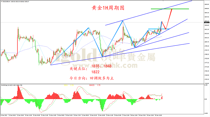 2023年1月3日黄金走势图 2023年1月3日黄金走势图