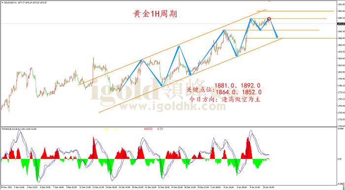 2023年1月11日黄金走势图 2023年1月11日黄金走势图