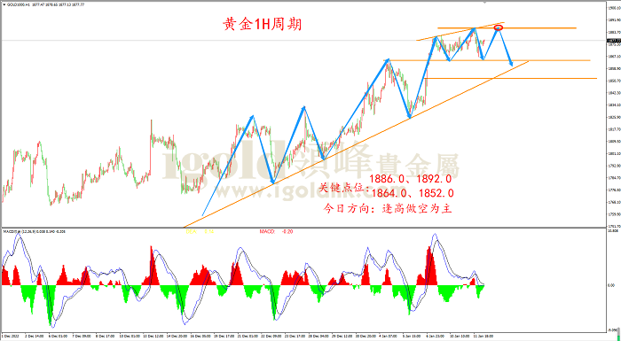 2023年1月12日黄金走势图 2023年1月12日黄金走势图