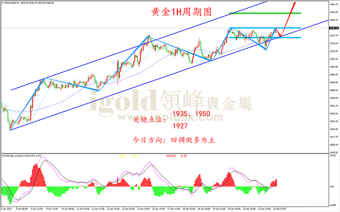 2023年1月24日黄金走势图 2023年1月24日黄金走势图