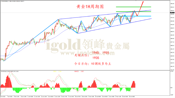 2023年1月26日黄金走势图 2023年1月26日黄金走势图