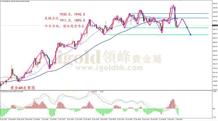 2023年2月3日黄金走势图 2023年2月3日黄金走势图