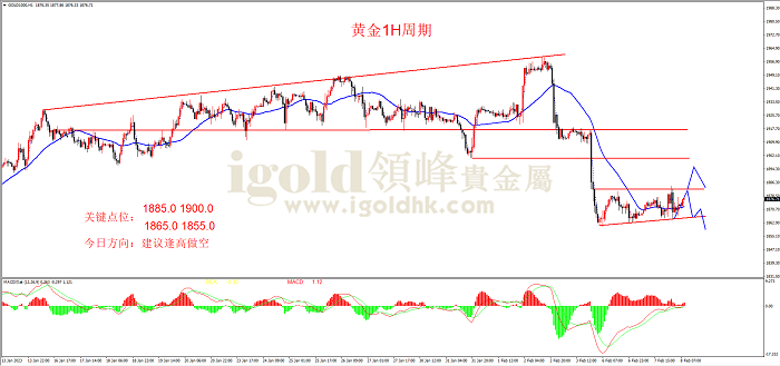 2023年2月8日黄金走势图 2023年2月8日黄金走势图