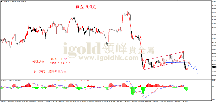 2023年2月10日黄金走势图 2023年2月10日黄金走势图