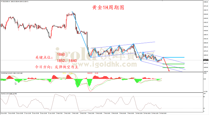 2023年2月14日黄金走势图 2023年2月14日黄金走势图
