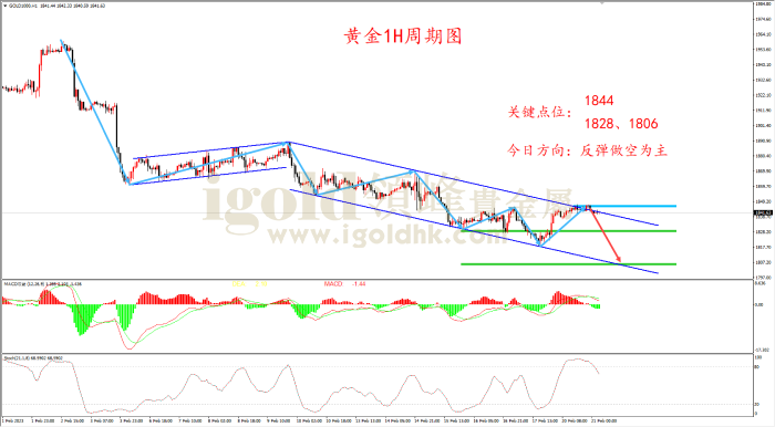 2023年2月21日黄金走势图 2023年2月21日黄金走势图