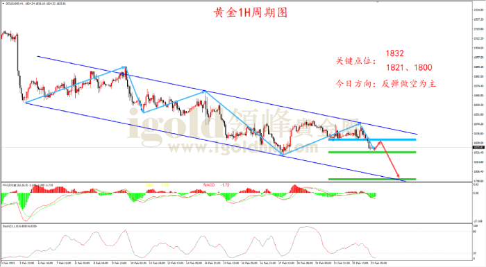 2023年2月23日黄金走势图 2023年2月23日黄金走势图
