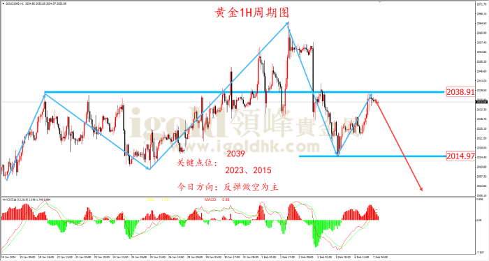 2024年2月7日黄金走势图 2024年2月7日黄金走势图