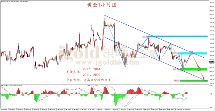 2024年2月13日黄金走势图 2024年2月13日黄金走势图