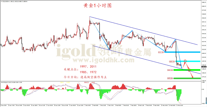 2024年2月14日黄金走势图 2024年2月14日黄金走势图