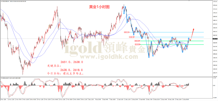 2025年1月2日黄金走势图 2025年1月2日黄金走势图