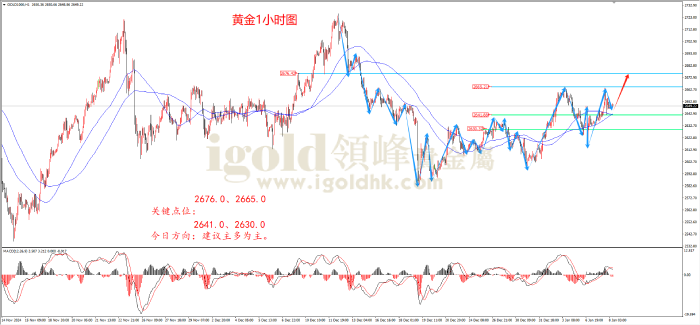 2025年1月8日黄金走势图 2025年1月8日黄金走势图
