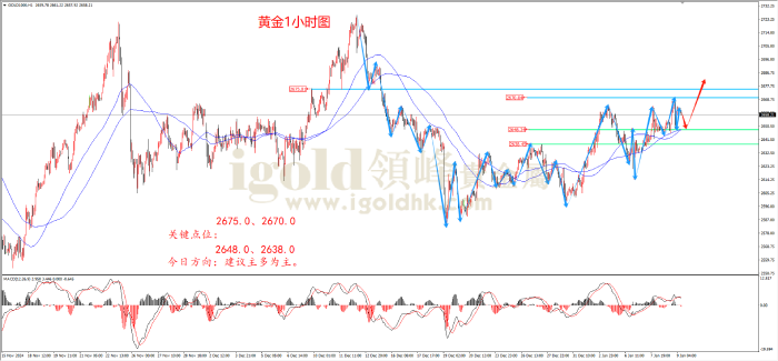2025年1月9日黄金走势图 2025年1月9日黄金走势图
