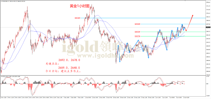 2025年1月10日黄金走势图 2025年1月10日黄金走势图