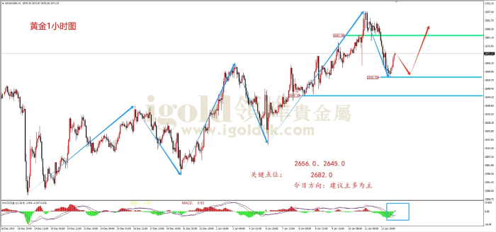2025年1月14日黄金走势图 2025年1月14日黄金走势图
