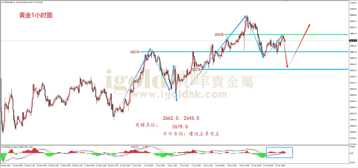 2025年1月15日黄金走势图 2025年1月15日黄金走势图