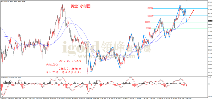 2025年1月20日黄金走势图 2025年1月20日黄金走势图