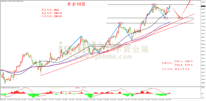 2025年1月24日黄金走势图 2025年1月24日黄金走势图