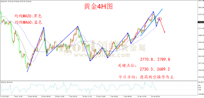 2025年1月28日黄金走势图 2025年1月28日黄金走势图