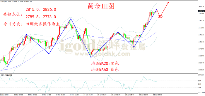 2025年1月31日黄金走势图 2025年1月31日黄金走势图