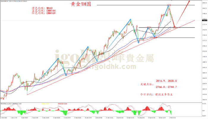 2025年2月3日黄金走势图 2025年2月3日黄金走势图