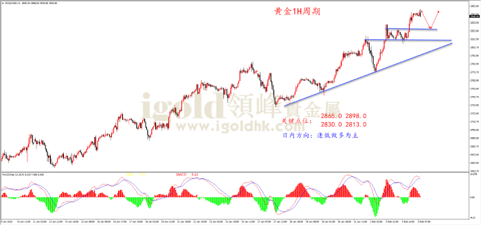 2025年2月5日黄金走势图 2025年2月5日黄金走势图