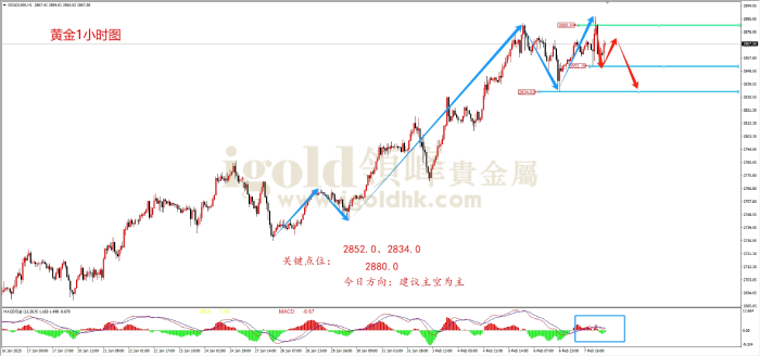 2025年2月10日黄金走势图 2025年2月10日黄金走势图
