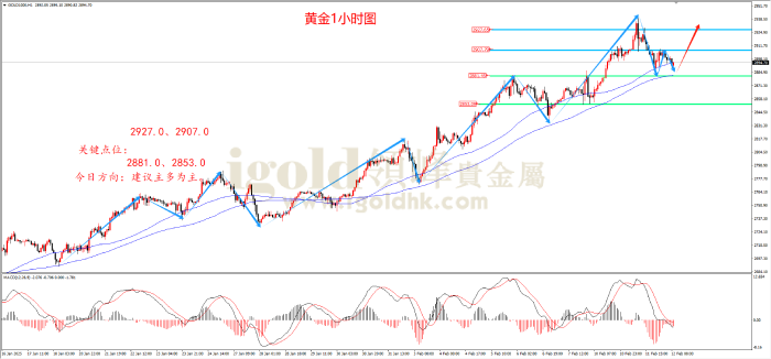 2025年2月12日黄金走势图 2025年2月12日黄金走势图