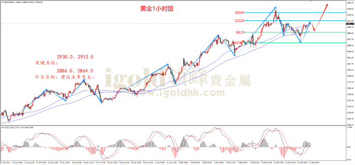 2025年2月13日黄金走势图