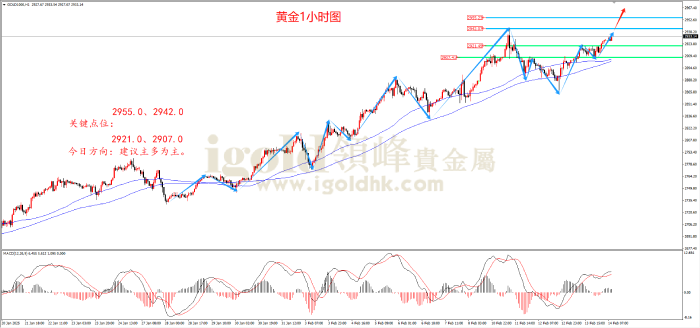2025年2月14日黄金走势图 2025年2月14日黄金走势图