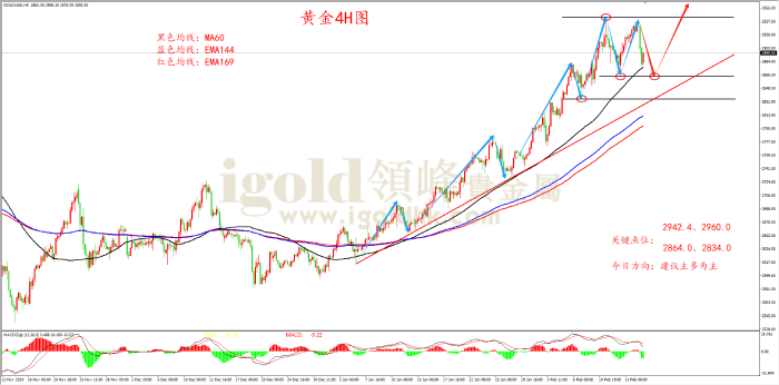 2025年2月17日黄金走势图 2025年2月17日黄金走势图