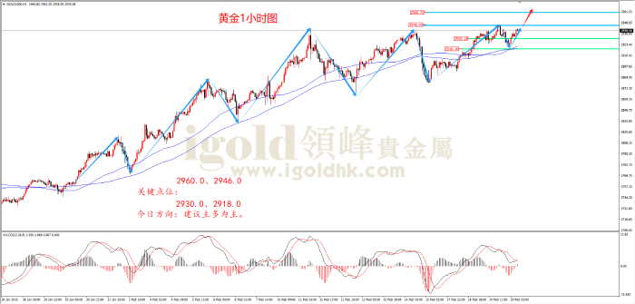 2025年2月20日黄金走势图 2025年2月20日黄金走势图