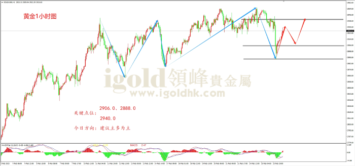 2025年2月26日黄金走势图 2025年2月26日黄金走势图