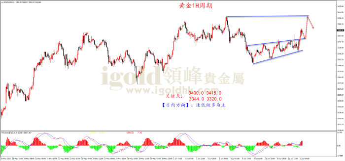 2025年6月12日黄金走势图 2025年6月12日黄金走势图