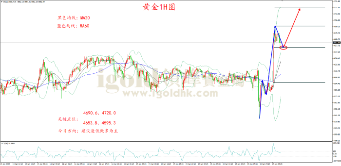 2026年01月19日黄金走势图 2026年01月19日黄金走势图