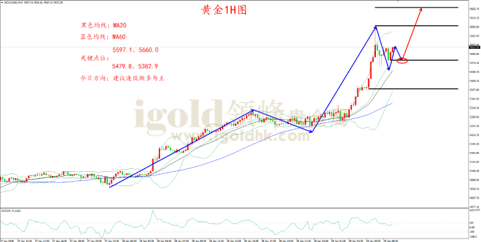 2026年1月29日黄金走势图 2026年1月29日黄金走势图