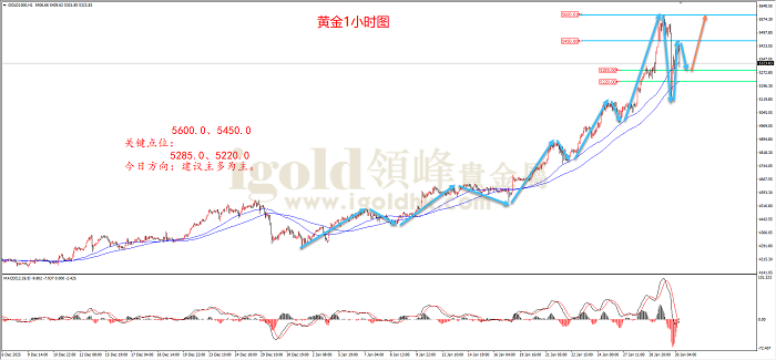 2026年1月30日黄金走势图 2026年1月30日黄金走势图