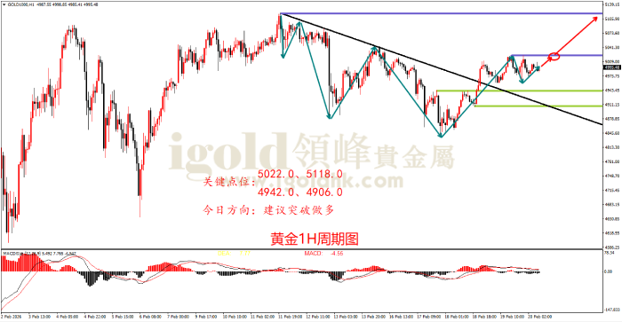 2026年02月20日黄金走势图