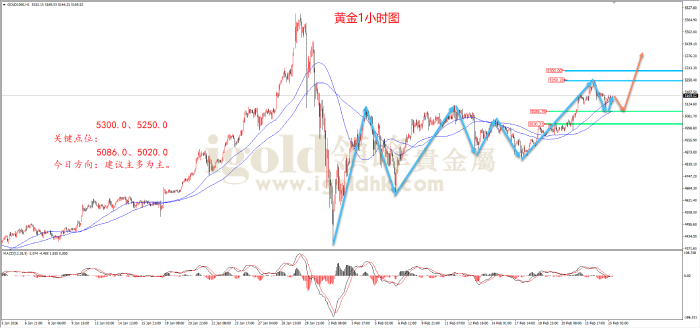 2026年2月25日黄金走势图