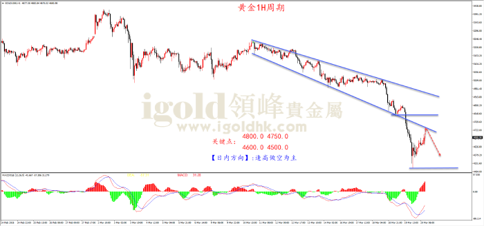 2026年03月20日黄金走势图 2026年03月20日黄金走势图